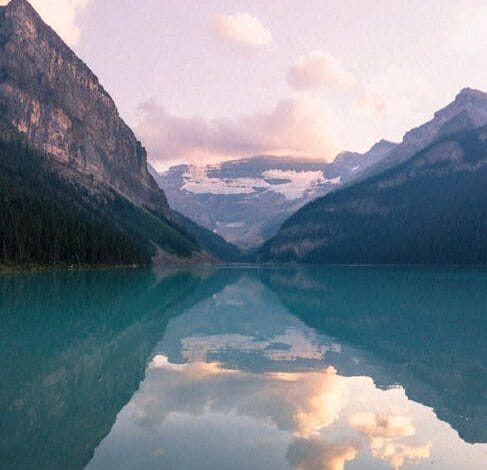 تحميل Melbet للاندرويد apk