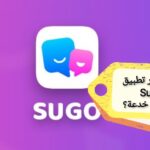دليل شامل لتهكير تطبيق Sugo: هل هو ممكن أم مجرد خدعة؟ دليل شامل لتهكير تطبيق Sugo: هل هو ممكن أم مجرد خدعة؟