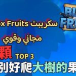 سكريبت Blox Fruits مجاني وقوي